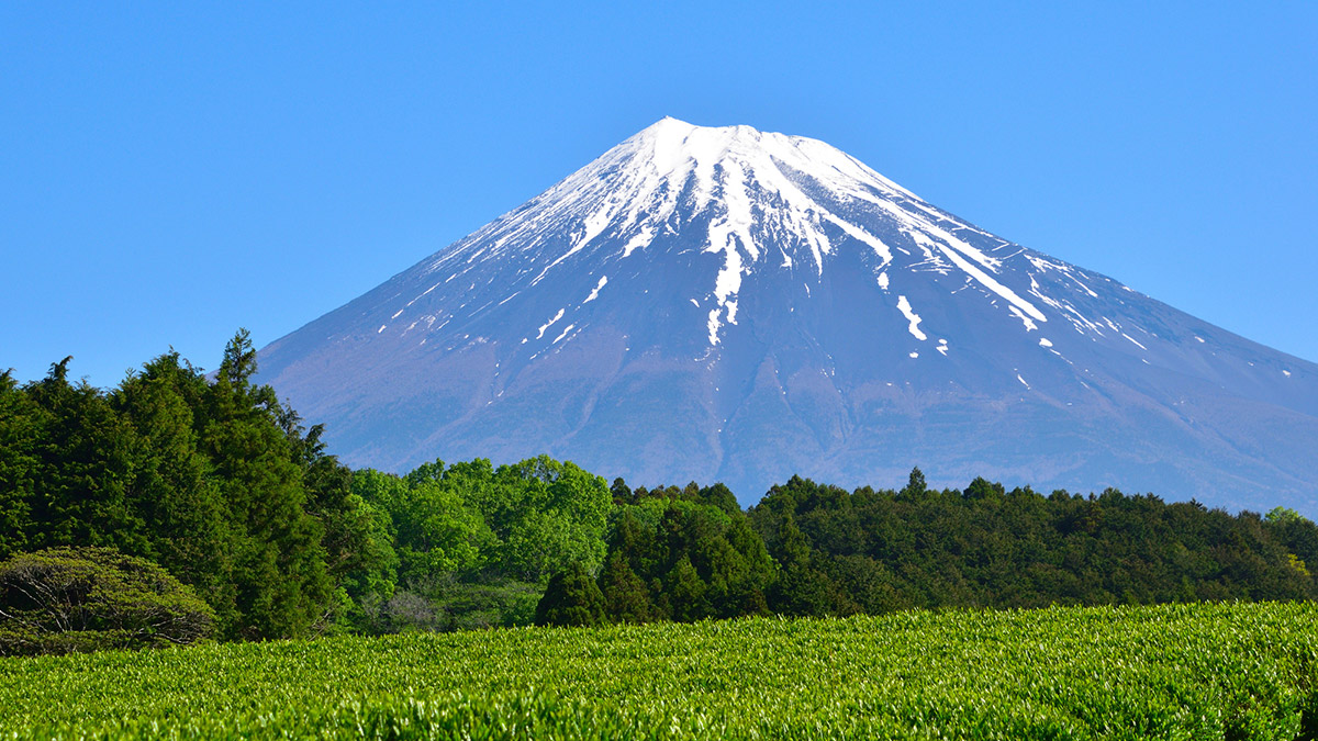 富士山